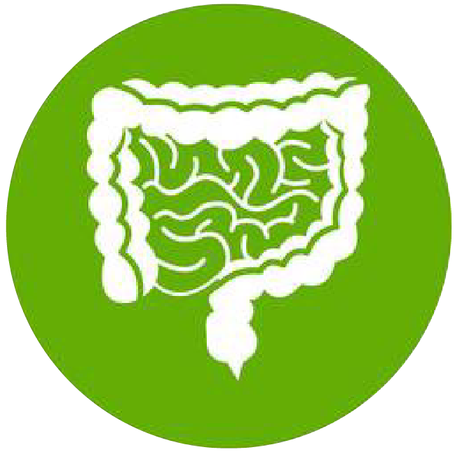 關注職場“腸”態(tài)，守護員工健康——上海格瑞特特邀消化內科專家公益系列講座（4）(圖1)