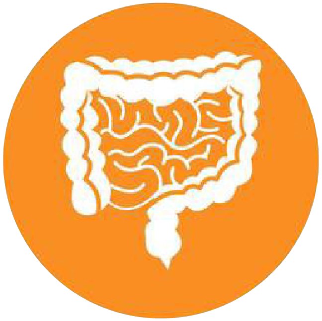 關注職場“腸”態(tài)，守護員工健康——上海格瑞特特邀消化內科專家公益系列講座（4）(圖4)