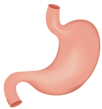 關注職場“腸”態(tài)，守護員工健康——上海格瑞特特邀消化內科專家公益系列講座（4）(圖9)